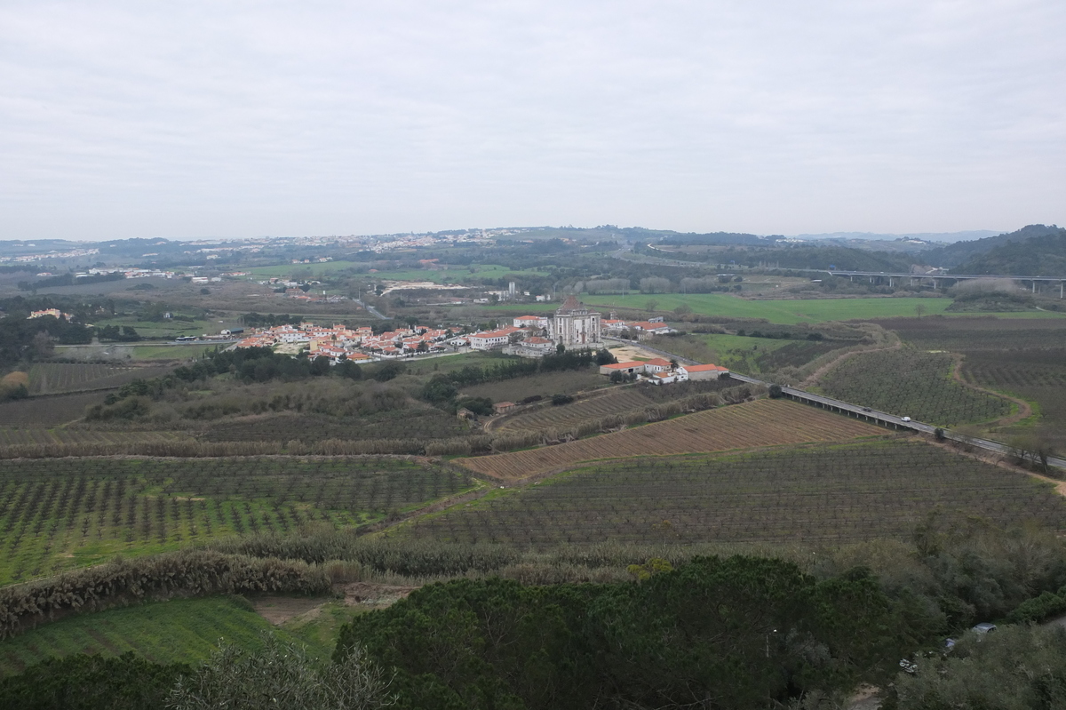 Picture Portugal Obidos 2013-01 98 - Saving Obidos