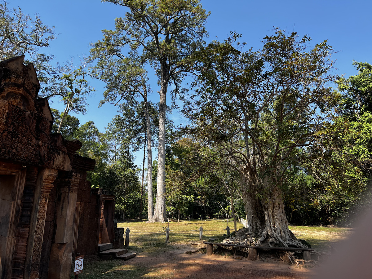 Picture Cambodia Siem Reap ⁨Banteay Srei⁩ 2023-01 49 - Spring ⁨Banteay Srei⁩