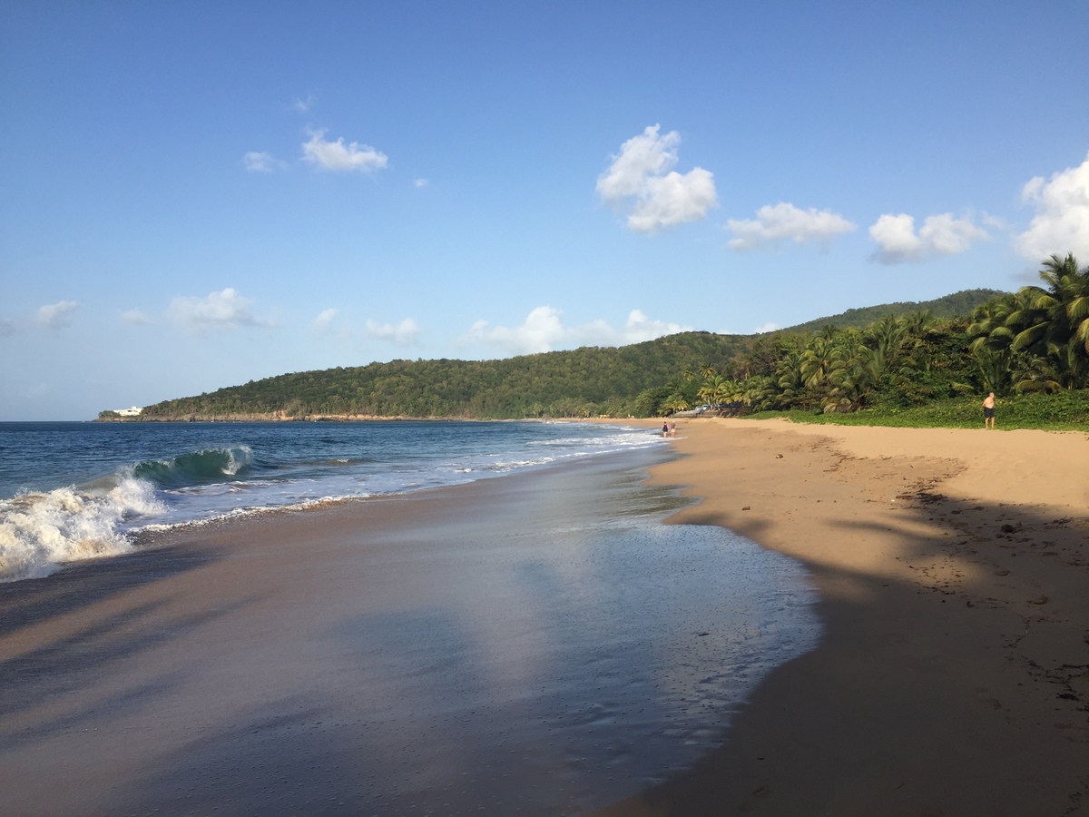 Picture Guadeloupe La Perle Beach 2021-02 100 - Resort La Perle Beach