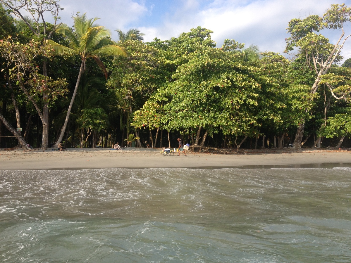 Picture Costa Rica Manuel Antonio 2015-03 514 - Rain Season Manuel Antonio