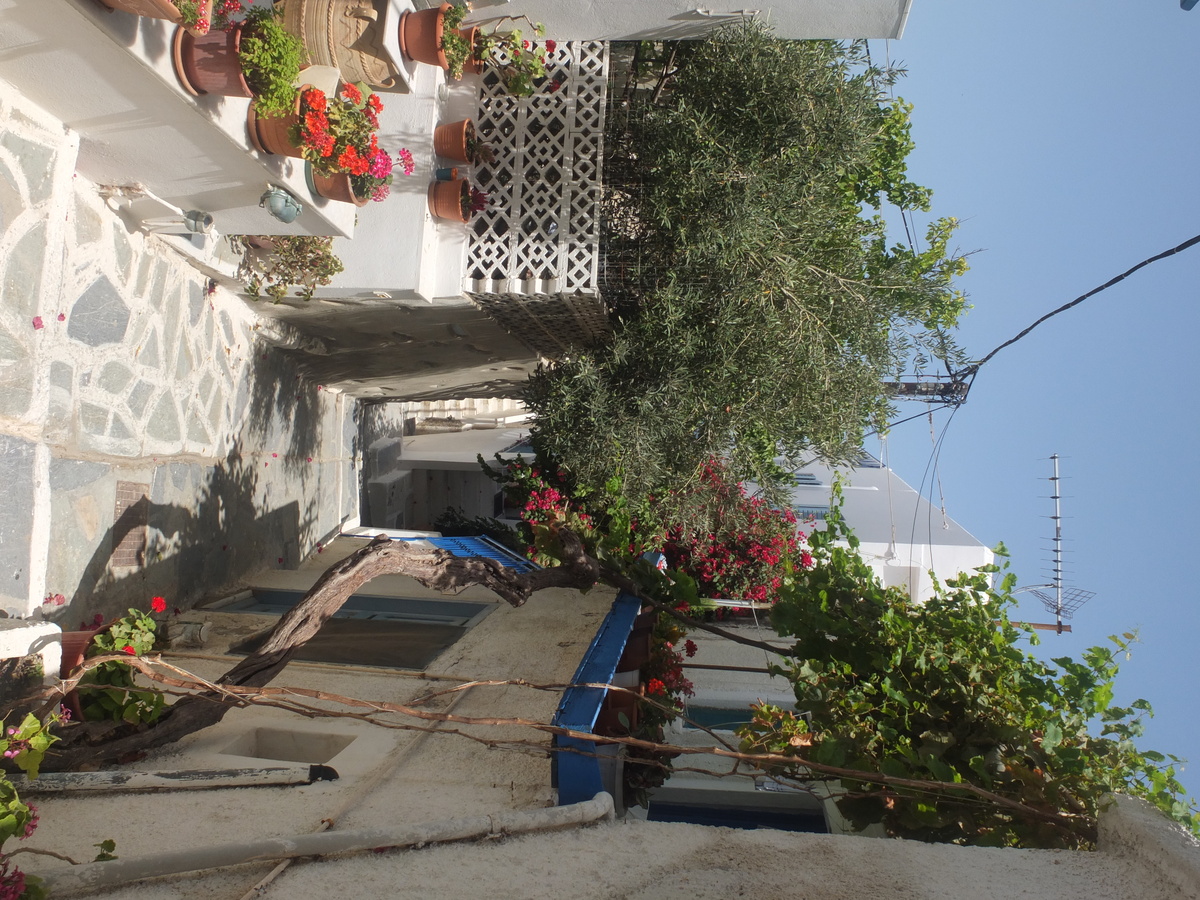 Picture Greece Naxos 2014-07 66 - Lake Naxos