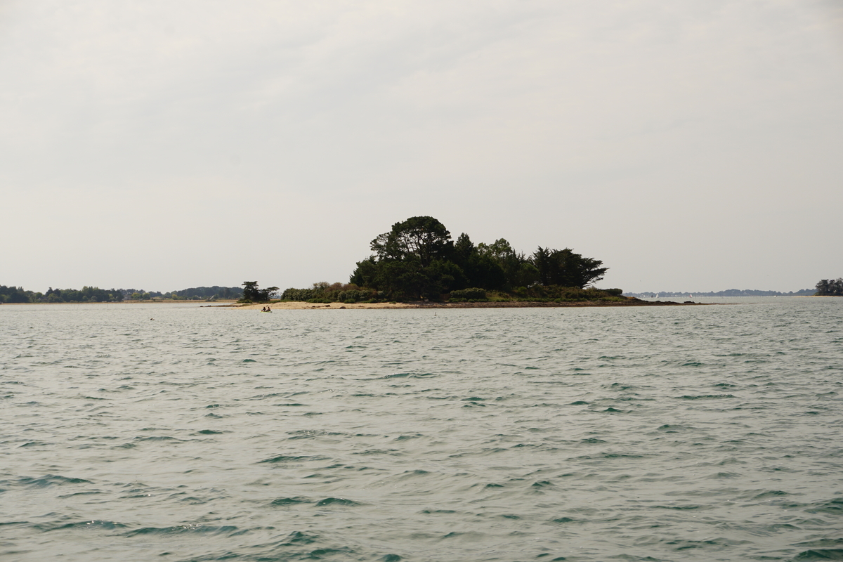 Picture France Golfe du Morbihan 2016-08 85 - City View Golfe du Morbihan