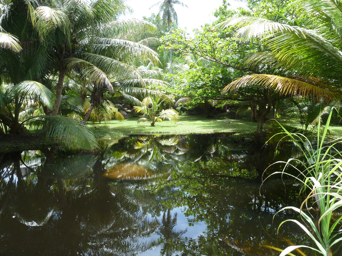 Picture Seychelles Grande Soeur 2011-10 20 - Cost Grande Soeur