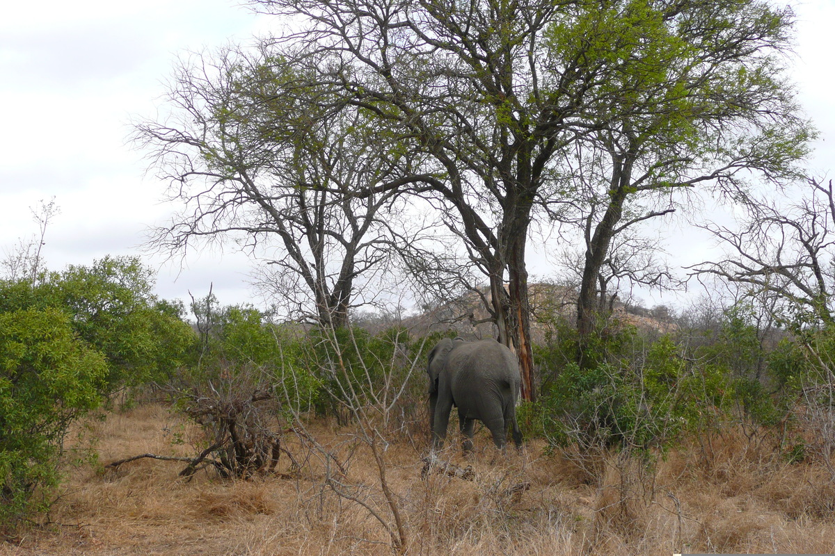 Picture South Africa Kruger National Park 2008-09 88 - Lake Kruger National Park