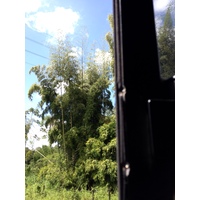 Picture Costa Rica Limon to Siquirres 2015-03 25 - Rain Season Limon to Siquirres