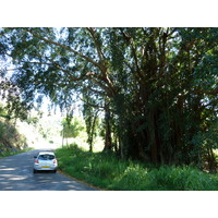 Picture New Caledonia Canala to La Foa road 2010-05 65 - Weather Canala to La Foa road