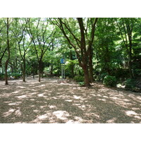 Picture Japan Tokyo Shiba Park 2010-06 64 - Weather Shiba Park