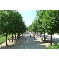 Picture France Paris Garden of Tuileries 2007-05 286 - City View Garden of Tuileries