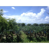 Picture Costa Rica Limon to Siquirres 2015-03 30 - Hotels Limon to Siquirres