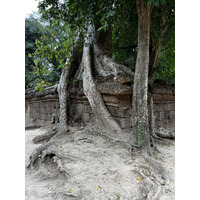 Picture Cambodia Siem Reap Ta Prohm 2023-01 49 - City Ta Prohm