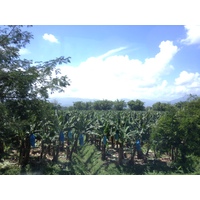 Picture Costa Rica Limon to Siquirres 2015-03 23 - Room Limon to Siquirres