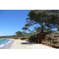 Picture France Porquerolles Island Courtade beach 2008-05 71 - Sunrise Courtade beach