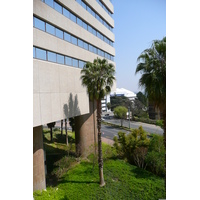 Picture South Africa Johannesburg Intercontinental Hotel 2008-09 1 - Spring Intercontinental Hotel