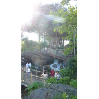 Picture France Disneyland Paris La Cabane des Robinson 2007-07 31 - Transport La Cabane des Robinson