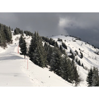 Picture France Megeve 2019-03 76 - Spring Megeve