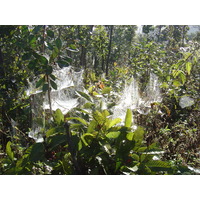 Picture Thailand Pang ma pha 2005-12 148 - Waterfalls Pang ma pha