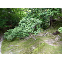 Picture Japan Kyoto Ginkakuji Temple(Silver Pavilion) 2010-06 59 - Resorts Ginkakuji Temple(Silver Pavilion)