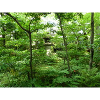 Picture Japan Tokyo Nezu Museum 2010-06 69 - Sauna Nezu Museum