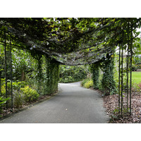 Picture Singapore Singapore Botanic Gardens 2023-01 90 - Sunrise Singapore Botanic Gardens