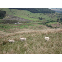 Picture United Kingdom Brecon Beacons National Parc 2006-05 92 - Rain Season Brecon Beacons National Parc