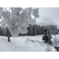 Picture France Megeve 2016-02 69 - Lakes Megeve