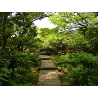 Picture Japan Tokyo Nezu Museum 2010-06 100 - Rain Season Nezu Museum