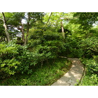 Picture Japan Tokyo Nezu Museum 2010-06 102 - Land Nezu Museum