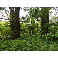 Picture Japan Tokyo Nezu Museum 2010-06 113 - Monuments Nezu Museum