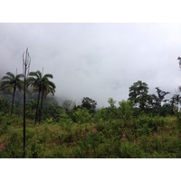 Picture Panama David to Bocas del toro 2015-03 72 - Saving David to Bocas del toro