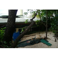 Picture Fiji Beachcomber Island 2010-05 47 - Sauna Beachcomber Island