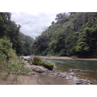 Picture Costa Rica Pacuare River 2015-03 152 - City Pacuare River