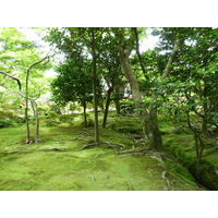 Picture Japan Kyoto Ginkakuji Temple(Silver Pavilion) 2010-06 42 - Cheap Room Ginkakuji Temple(Silver Pavilion)