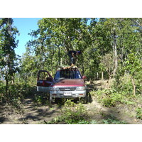 Picture Thailand Pang ma pha 2005-12 163 - Rain Season Pang ma pha