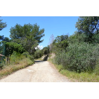 Picture France Porquerolles Island Pointe Bearlieu 2008-05 10 - Saving Pointe Bearlieu