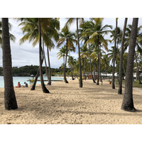 Picture Guadeloupe La Caravelle Beach 2021-02 128 - Spring La Caravelle Beach