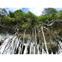 Picture New Caledonia Lifou Josip 2010-05 9 - Waterfall Josip