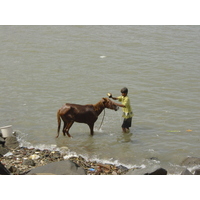 Picture India Mumbai 2003-05 83 - Savings Mumbai