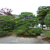 Picture Japan Kyoto Kyoto Imperial Palace 2010-06 147 - Waterfall Kyoto Imperial Palace