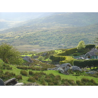 Picture Ireland Kerry Killarney National Park 2004-05 27 - Sauna Killarney National Park