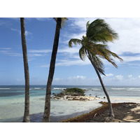 Picture Guadeloupe La Caravelle Beach 2021-02 65 - Hotel Pool La Caravelle Beach