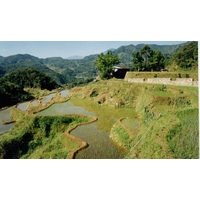 Picture Philippines Banaue 1997-03 7 - City Banaue