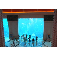 Picture United Arab Emirates Dubai Atlantis Hotel 2014-02 215 - City Sight Atlantis Hotel