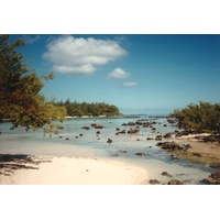 Picture Polynesia Moorea 1993-04 12 - Land Moorea