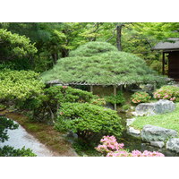 Picture Japan Kyoto Kyoto Imperial Palace 2010-06 91 - Hot Season Kyoto Imperial Palace