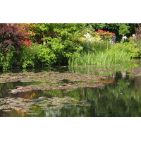 Picture France Giverny 2013-06 84 - Monuments Giverny