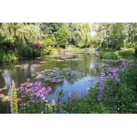 Picture France Giverny 2013-06 43 - Waterfalls Giverny