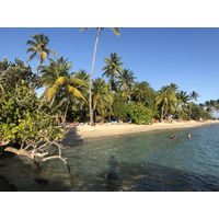 Picture Guadeloupe La Caravelle Beach 2021-02 152 - Price La Caravelle Beach