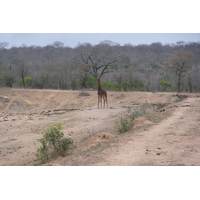 Picture South Africa Kruger National Park Mpondo 2008-09 14 - Night Mpondo