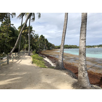 Picture Guadeloupe La Caravelle Beach 2021-02 159 - Sauna La Caravelle Beach