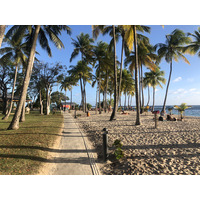 Picture Guadeloupe La Caravelle Beach 2021-02 129 - Winter La Caravelle Beach